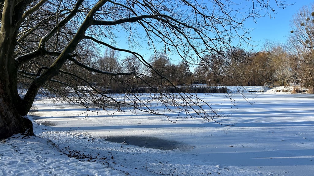 Anfang 2026 ist der Ottersleber Teich in Magdeburg zugefroren. 