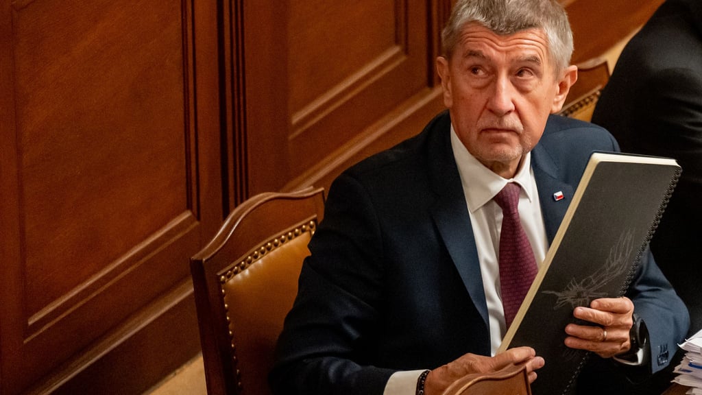 Ein Gericht hat einen Rentner verurteilt, der den jetzigen tschechischen Regierungschef Andrej Babis im Wahlkampf attackiert hatte. (Archivbild)