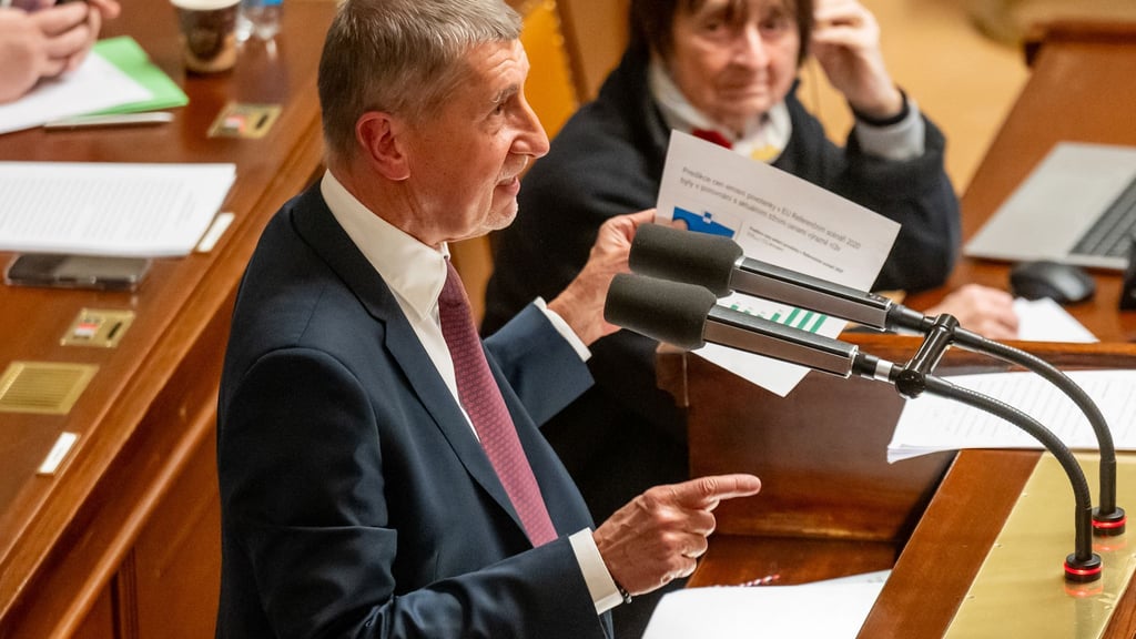 Tschechiens Ministerpräsident Andrej Babis kann nach einer gewonnenen Vertrauensabstimmung weiterregieren. (Archivbild)