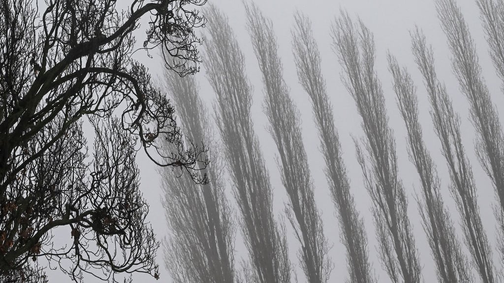 Auch am Donnerstagmorgen bleibt es stellenweise neblig. (Archivbild)