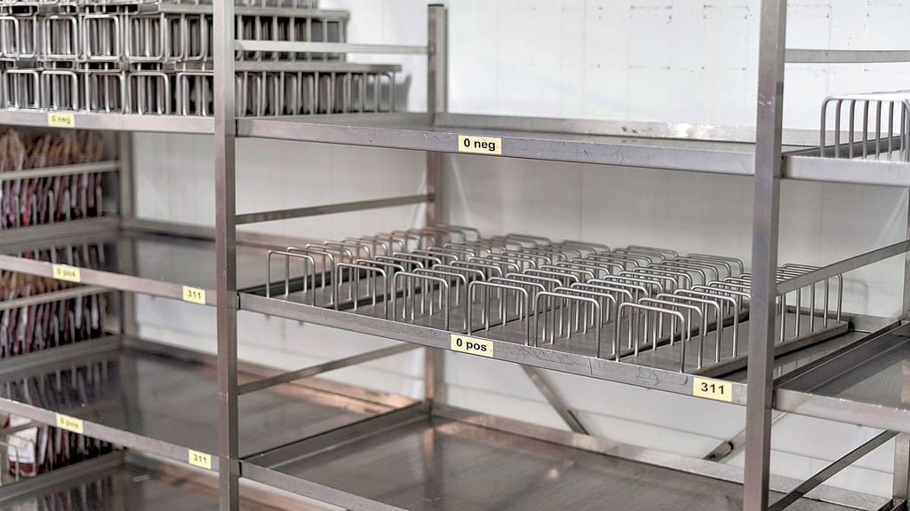 Beim DRK-Blutspendedienst in Dessau sind die Blutkonservenlager teilweise komplett leer.