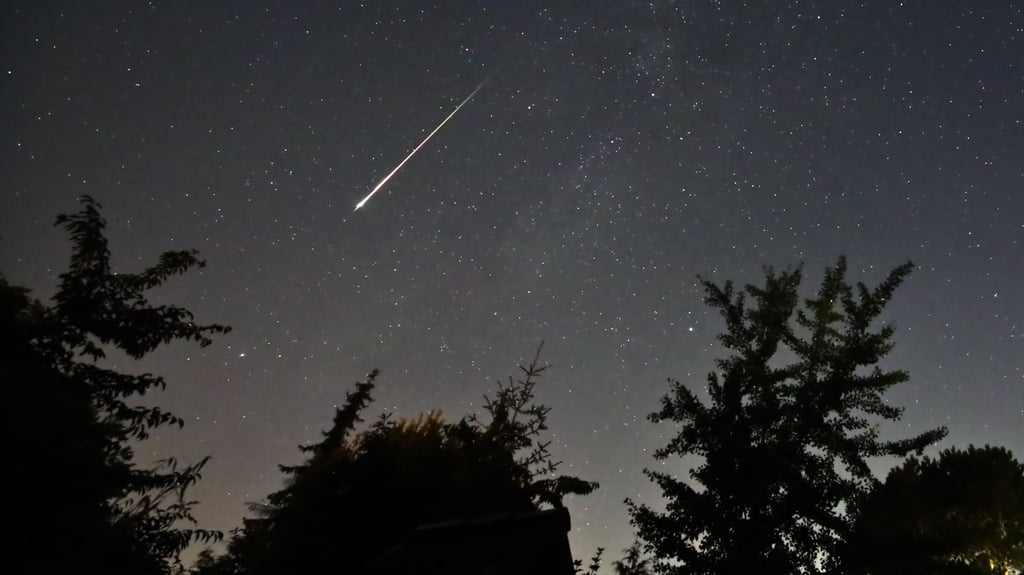 Wenn Sternschnuppen im August erwartet werden, öffnet die Waldbühne Altenbrak.