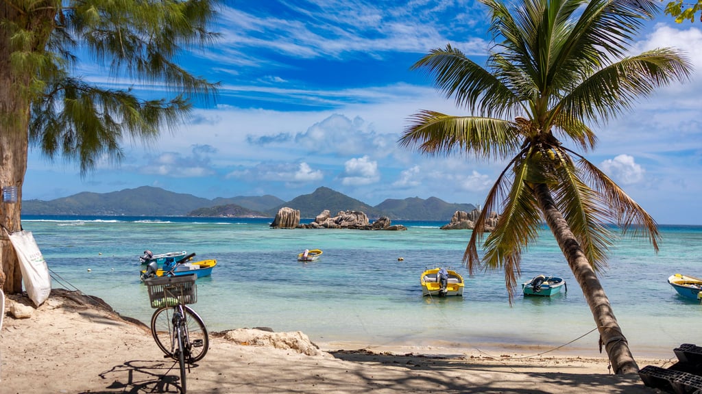 Da lässt es sich ausshalten: Ein Palmenstrand in La Digue, Seychellen 
