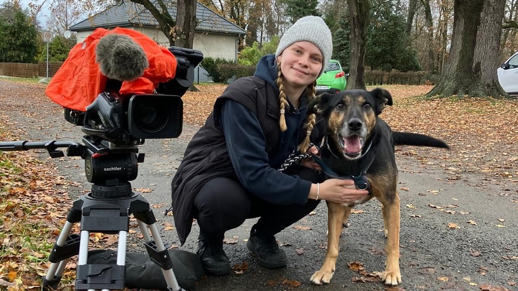 Spike mit Tierpflegerin Anna Jonas bei Filmdreharbeiten: Der neunjährige Hund auf der Suche nach seiner zweiten Chance.