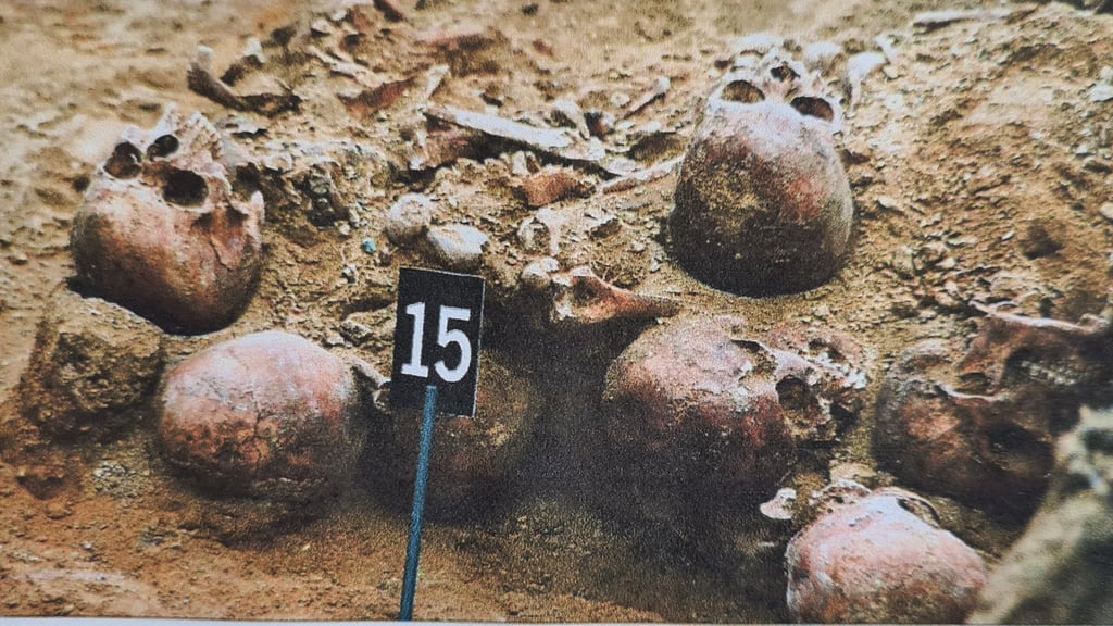 Ein Teil der Skelette, die 1994 in der Klausener Straße von Magdeburg-Sudenburg gefunden wurden.