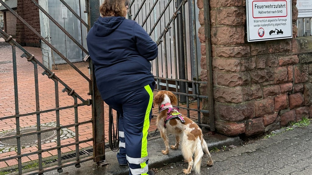 Auch mit Hilfe eines Hundes wurde der Junge gesucht.