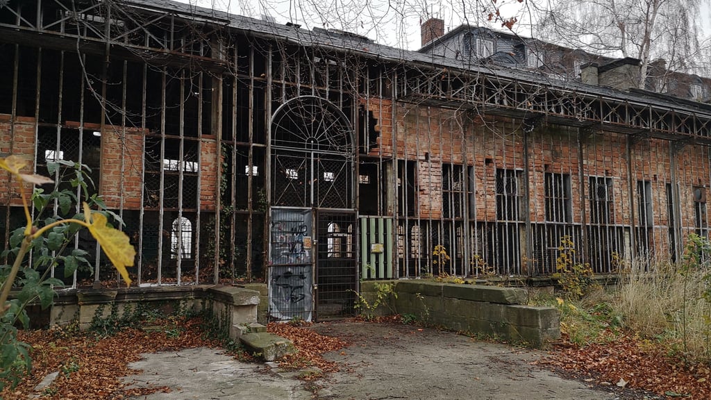 Kaputtes Mauerwerk, fehlende Fenster, Unkraut, das aus dem Dach und den Wänden wuchert: Jahrzehntelang galt das Palmenhaus als Schandfleck in Wernigerode.