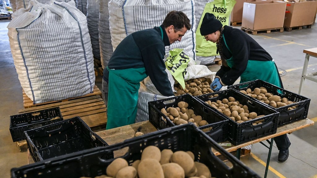 1.000 Kilo war die Mindestabnahmemenge.