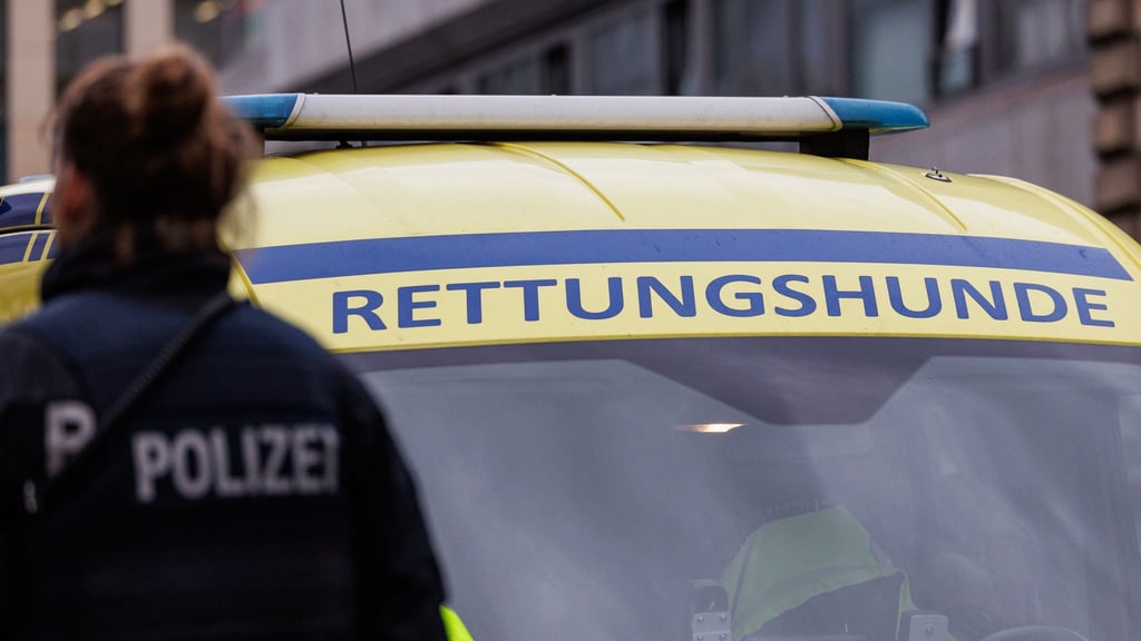 Nach dem verschwundenen Jungen wurde auch mit Spürhunden gesucht.