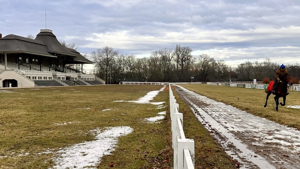 Der Schnee ist weg. Geritten wird derzeit auf den Passendorfer Wiesen nur im Training.