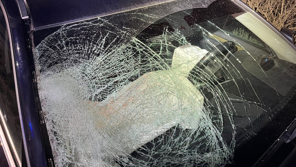 In Thale ist ein 15-Jähriger bei einem Unfall schwer verletzt worden.