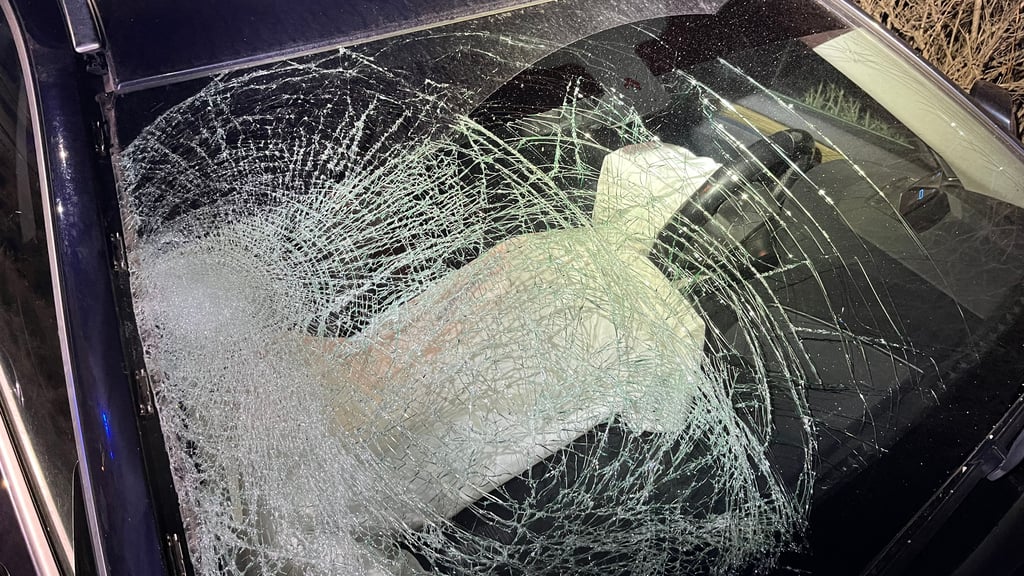 In Thale ist ein 15-Jähriger bei einem Unfall schwer verletzt worden.