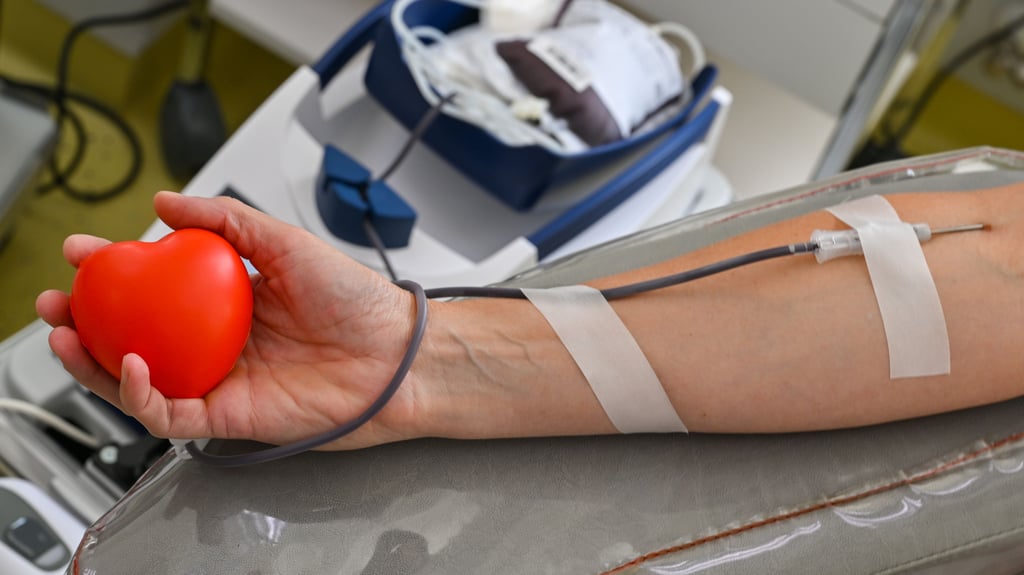 Das DRK ruft derzeit mit Nachdruck zur Blutspende auf.