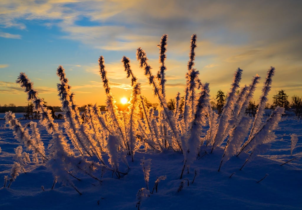 Sonne und kalte Luft erwarten die Meteorologen zum Wochenbeginn. (Archivbild)