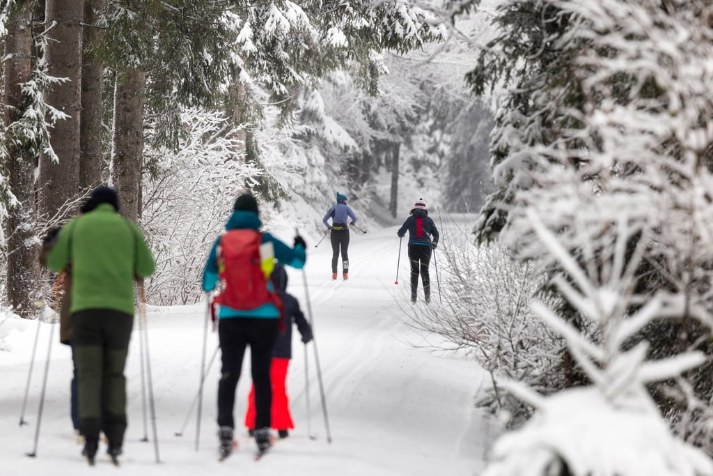 Vergangenes Wochenende lockte der Winter etliche Menschen in den Thüringer Wald. (Archivbild)