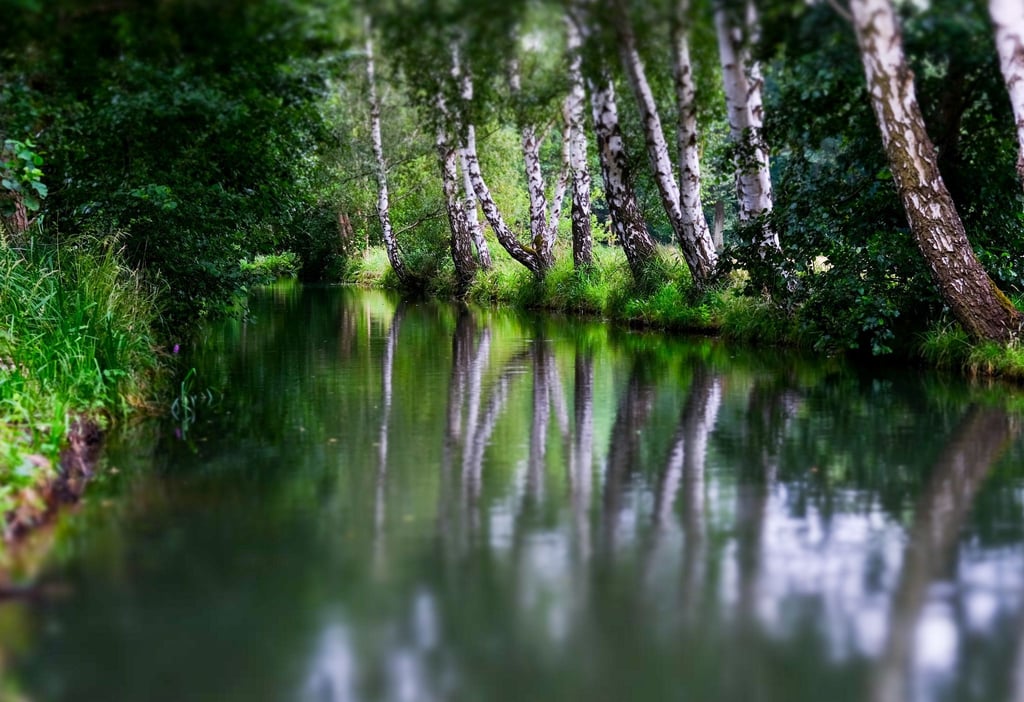 Ein Test für den Hochwasserschutz ist in diesem Jahr bei Burg im Spreewald in den Gewässern geplant. (Archivbild)