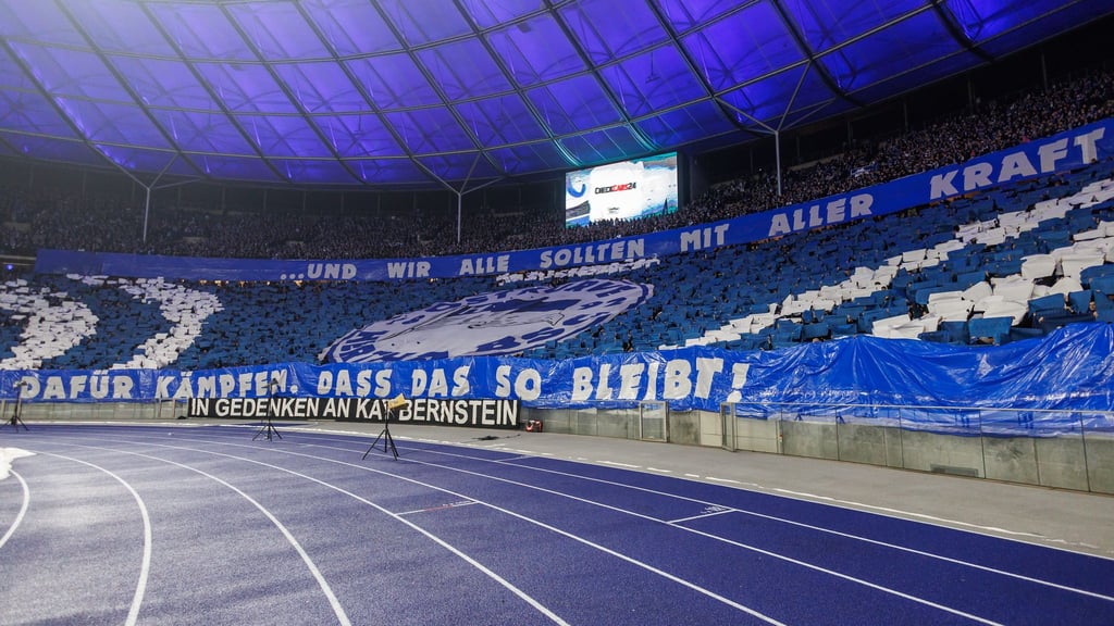 Die Fans von Hertha BSC und Schalke 04 protestieren gegen Polizeiaktionen.