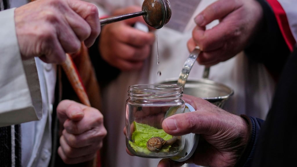 Die Tradition der katholischen Tiersegnung geht auf das Mittelalter zurück. Früher ließen die Bauern ihr Vieh segnen, heute sind es vor allem Städter, die ihre Lieblinge immer an einem 17. Januar, dem Fest von San Antón, dem Schutzeiligen der Tiere, zur Kirche tragen.
