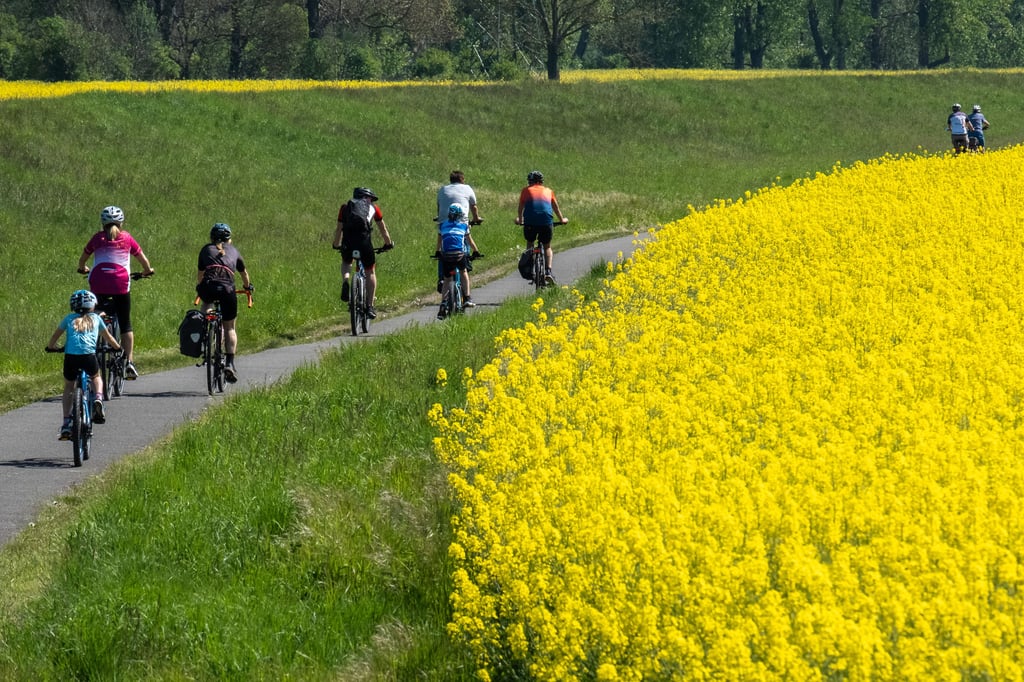 Das Radeln entlang der Weinroute an der Weißen Elster ist beliebt.