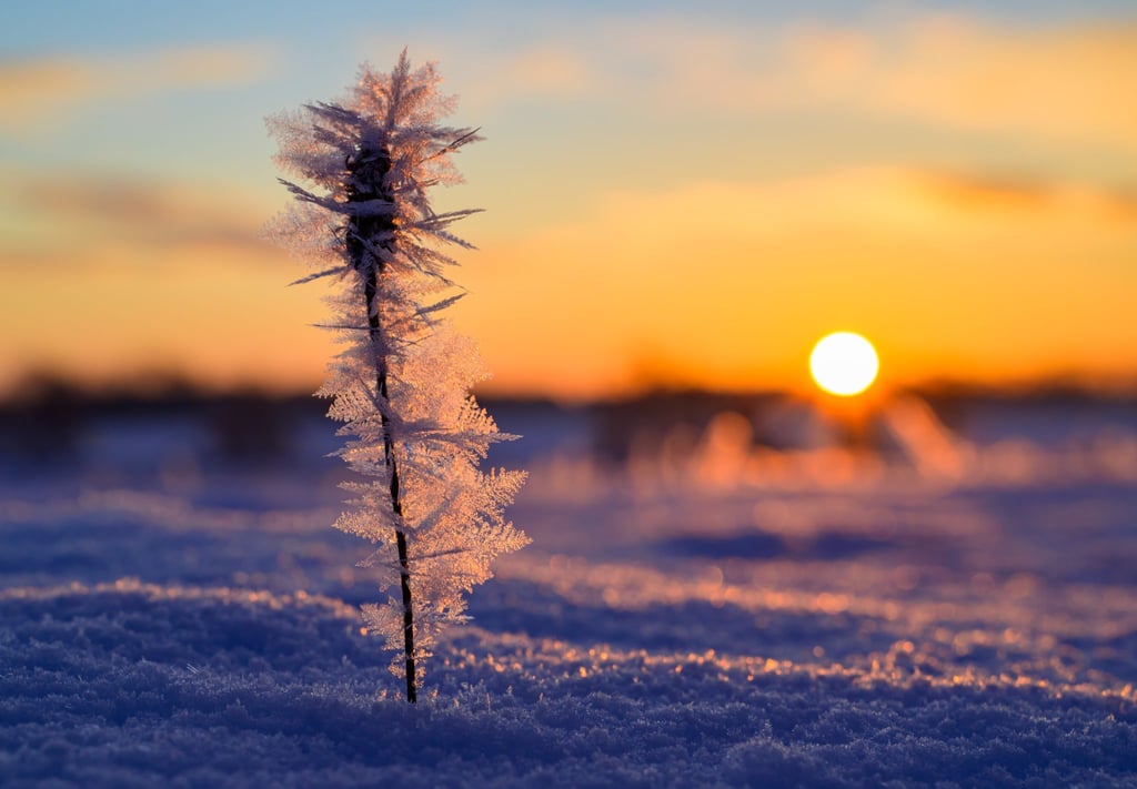 Viel Sonne, aber kalte Luft in Berlin und Brandenburg – morgens ist örtlich noch Vorsicht vor Glätte geboten. (Archivbild)