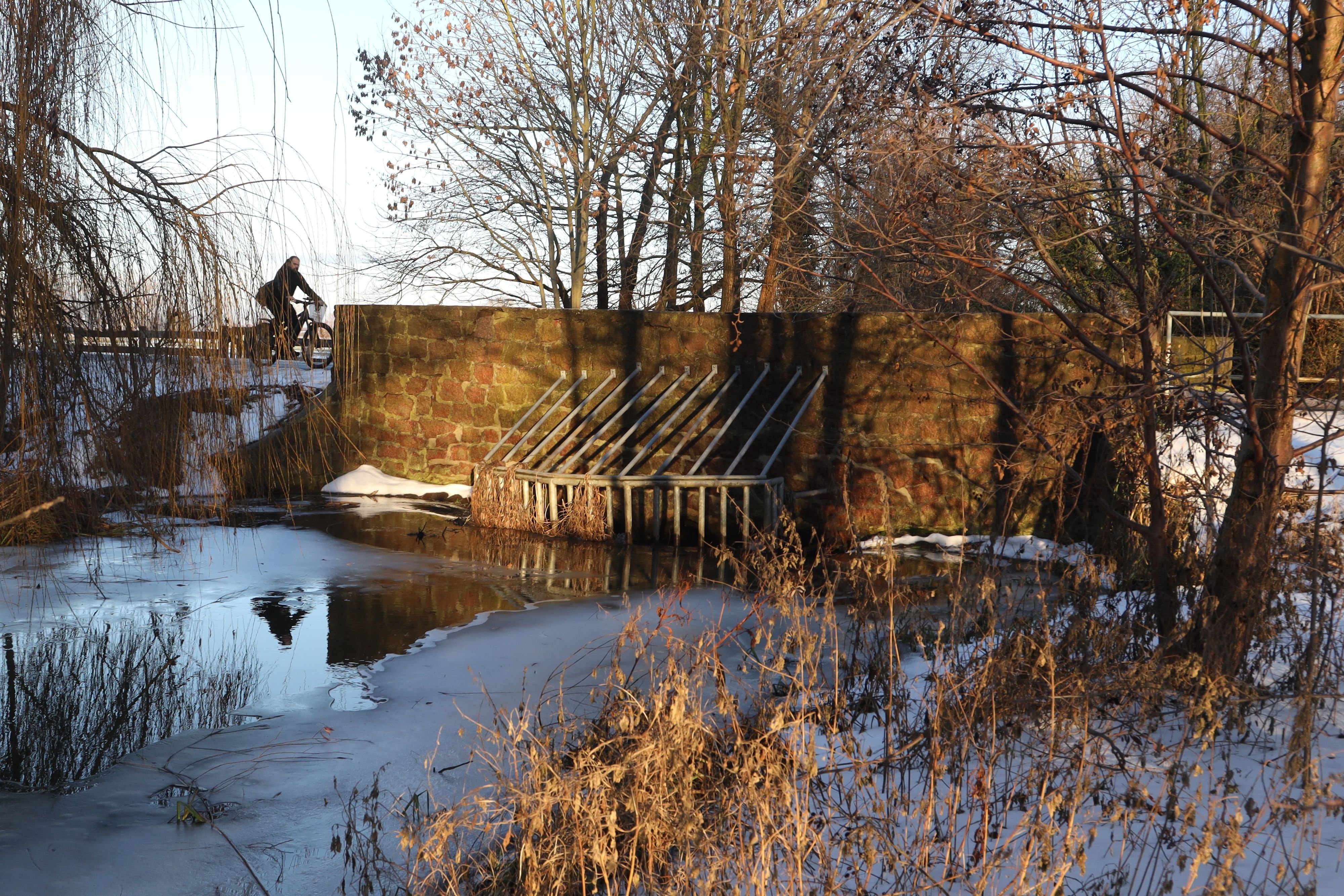 Börde: Für mehr Leben in der Ohre: Brücke der Kreisstraße bei Jersleben wird abgerissen