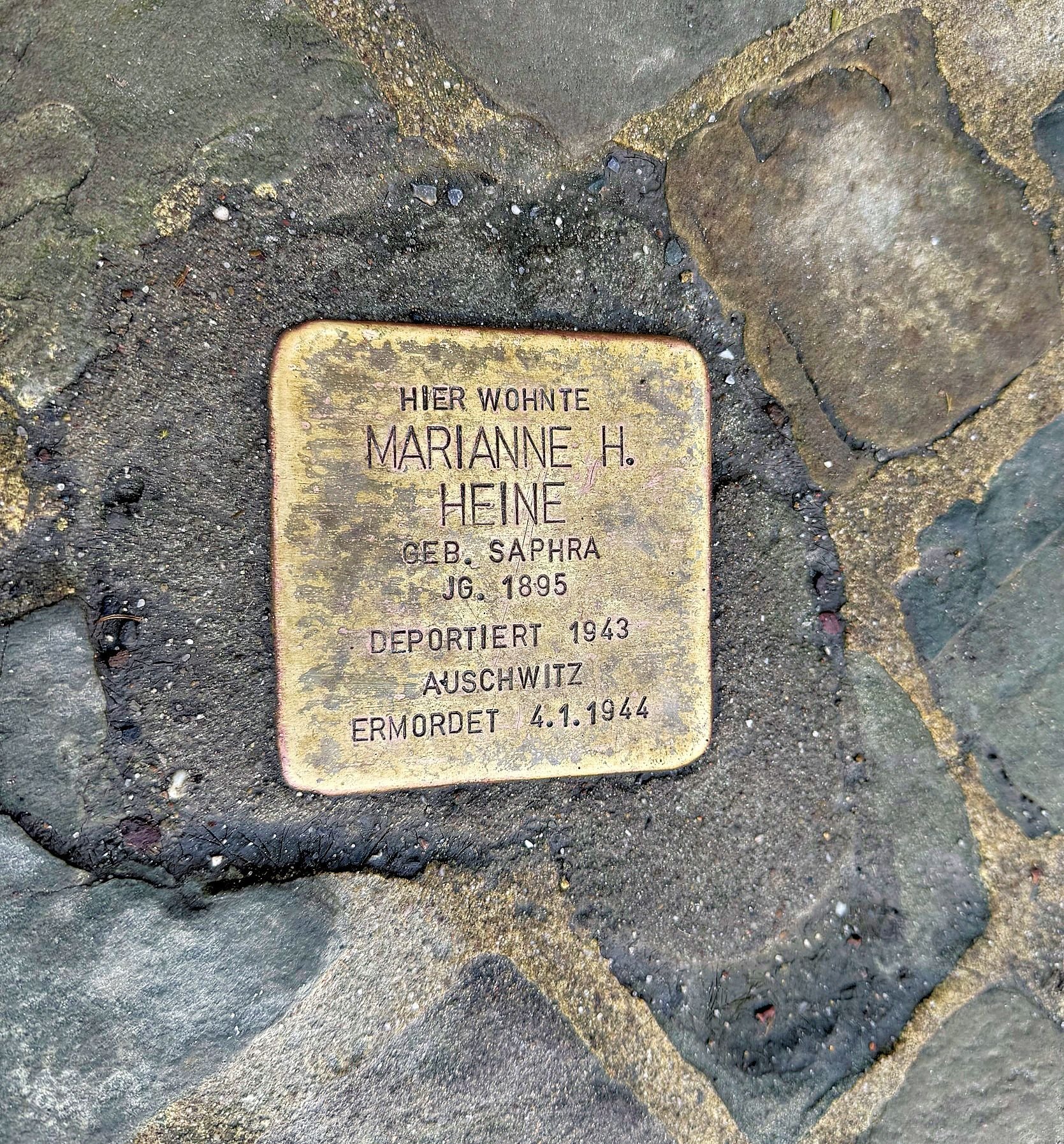 Zwölf Schicksale: Calbe plant Stolpersteine für jüdische NS-Opfer