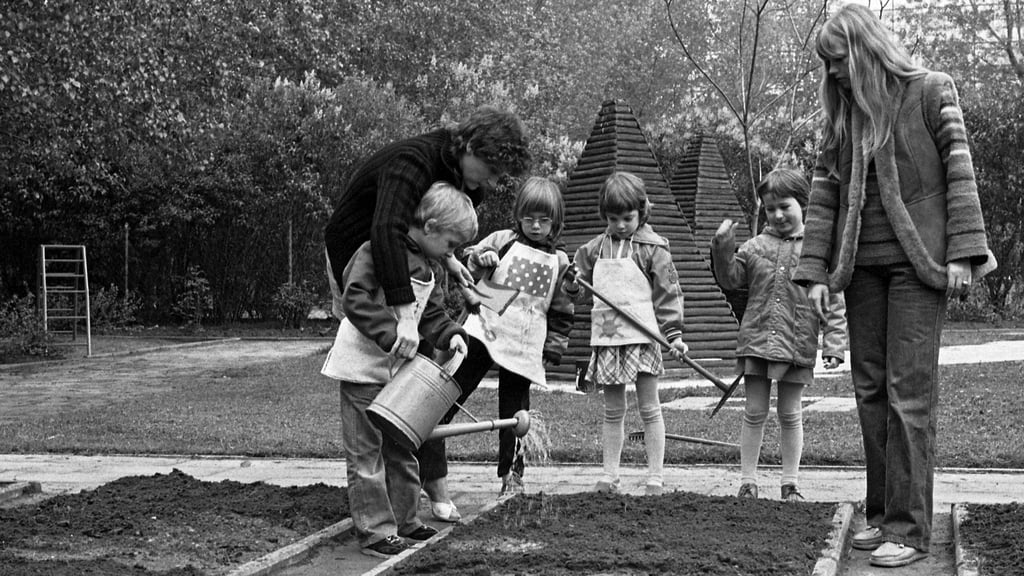 Schulgartenunterricht in den Klassen eins bis vier in der DDR: Kinder pflanzen, säen und pflegen gemeinsam Beete.
