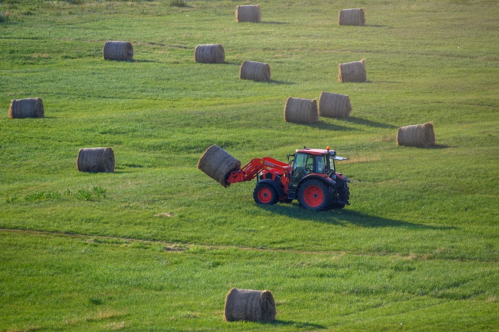 Die ostdeutschen Agrarminister warnen vor einer Kürzung von EU-Mitteln ab 2028 (Archivbild).