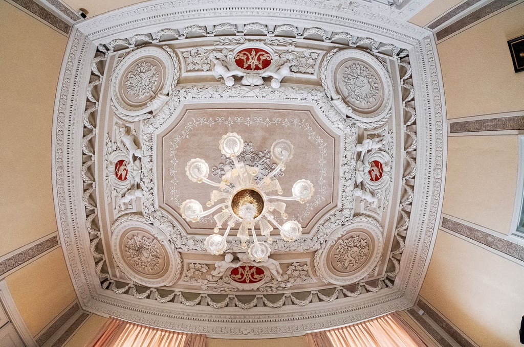 Die Stuckdecke im einstigen Gemach der Herzogin Maria Amalia ist wieder eine Augenweide, nachdem sie von Markus Schulz restauriert worden ist. Der Restaurator musste dabei Filigranarbeit leisten.