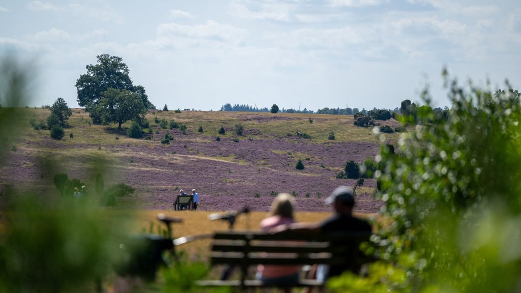 Schöne Landschaften wie die Lüneburger Heide prägen Niedersachsens Wahrnehmung – wirtschaftlich sieht das Bild dagegen durchwachsen aus. (Archivbild)