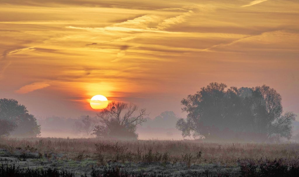 Viel Sonne, zu wenig Regen – das vergangene Jahr hielt auch zahlreiche idyllische Wettermomente, wie den Sonnenaufgang an einem Nebelmorgen  in den Elbauen, parat.