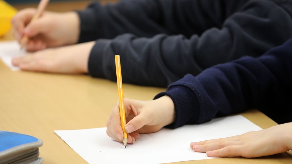 Die Zahl der Schüler mit Einwanderungsgeschichte steigt. (Archivbild)