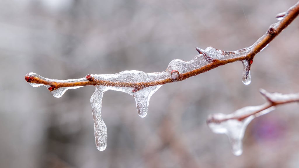 Sachsen-Anhalt darf sich auf ein kaltes, aber sonniges Winterwetter einstellen.