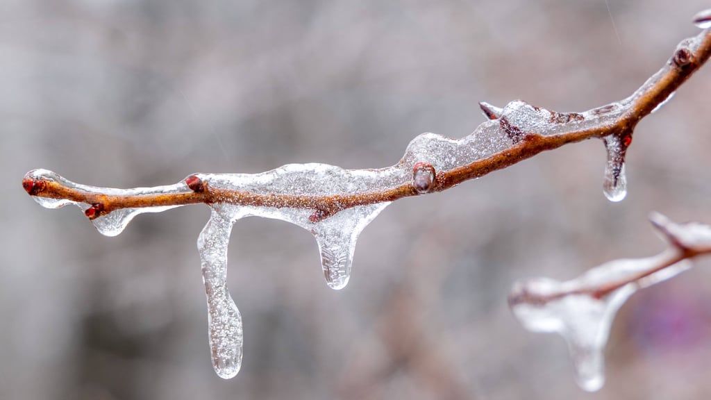 Sachsen-Anhalt darf sich auf ein kaltes, aber sonniges Winterwetter einstellen.