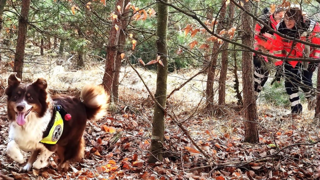 Die Jerichower Feuerwehr hat Zuwachs: Die Rettungshundestaffel wird zukünftig bei der Suche nach Personen helfen. Einen ersten Einsatz hat es bereits gegeben.