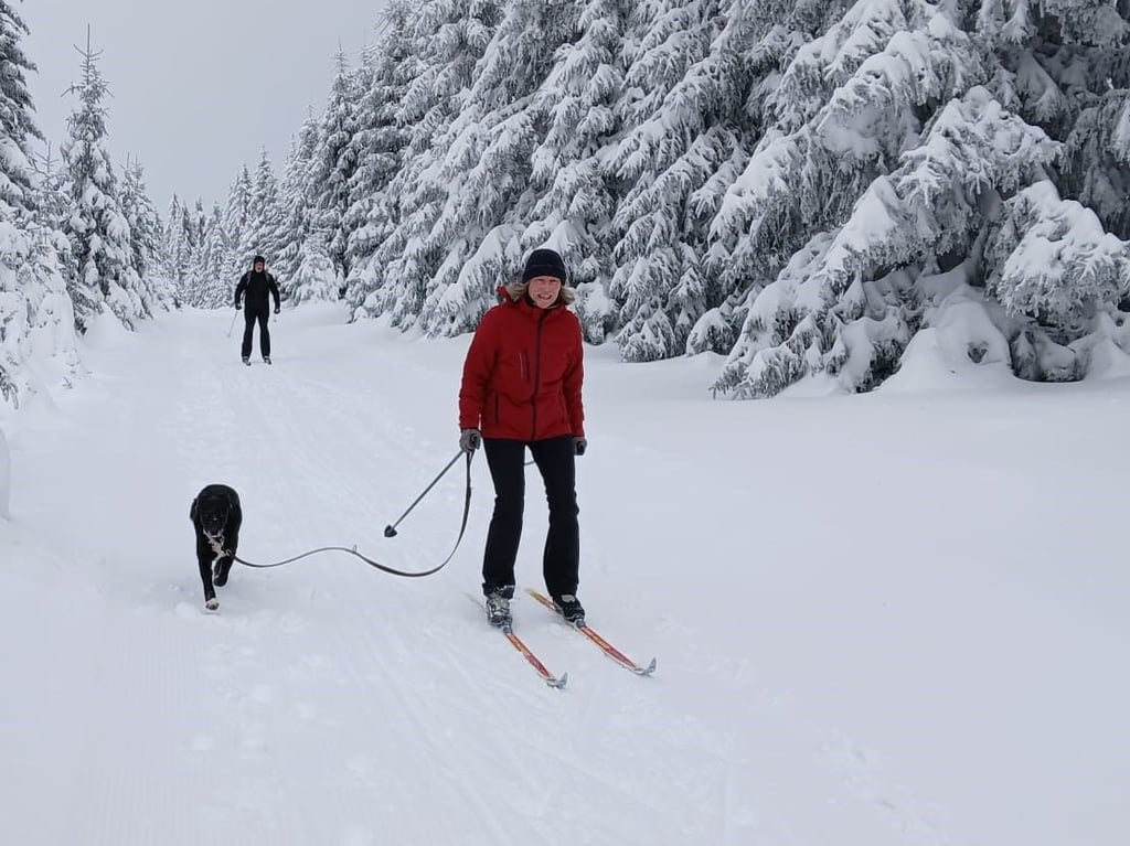 Wintersport auf den Loipen rund um Schierke im Oberharz