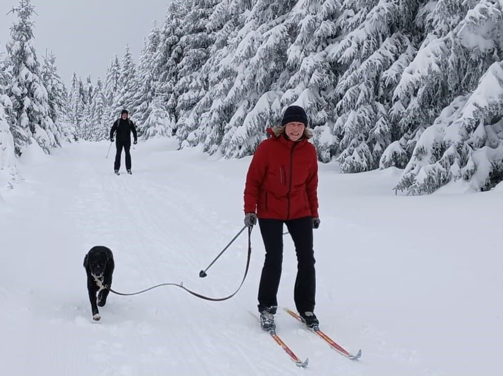 Wintersport auf den Loipen rund um Schierke im Oberharz