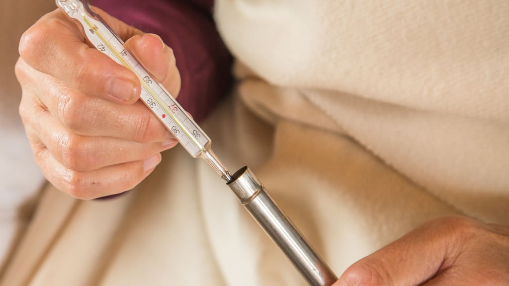 In einigen Haushalt sind sie noch zu finden: Fieberthermometer mit Quecksilber.