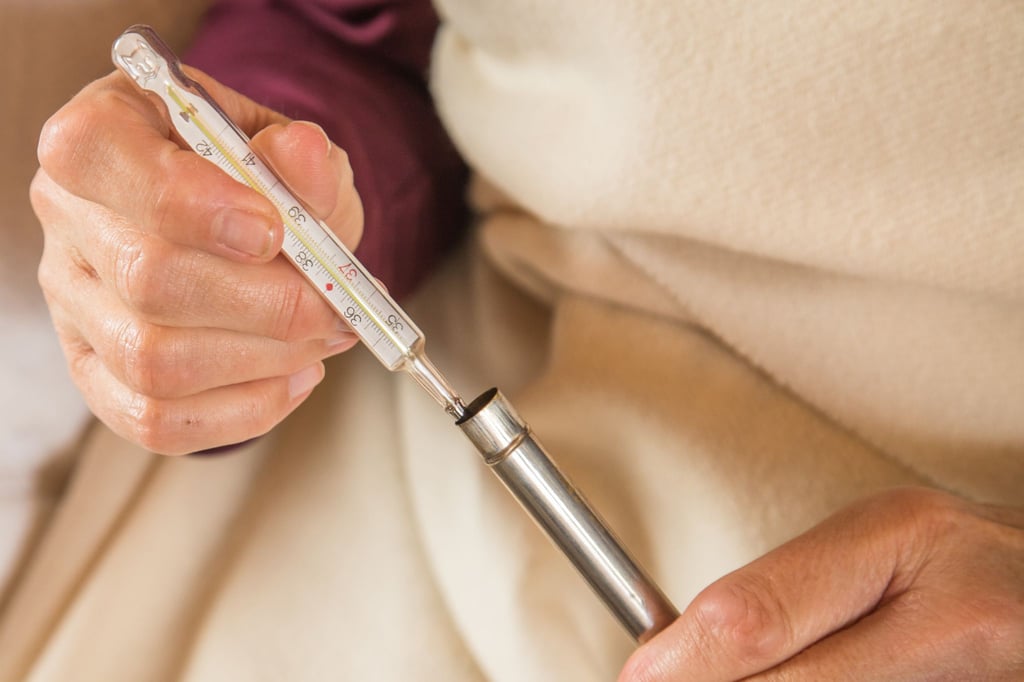 In einigen Haushalt sind sie noch zu finden: Fieberthermometer mit Quecksilber.