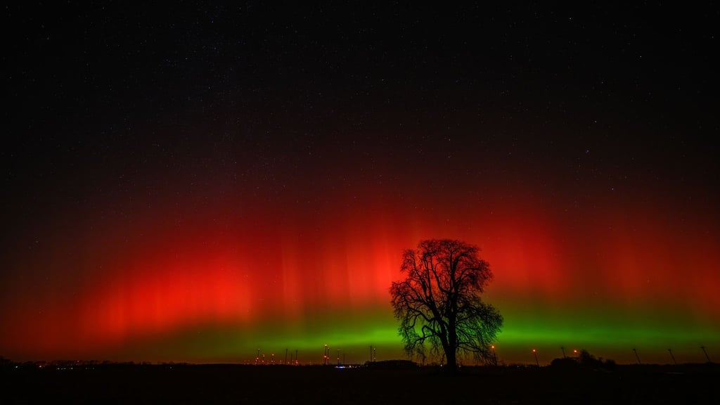 Polarlichter sind am Himmel über Brandenburg zu sehen.