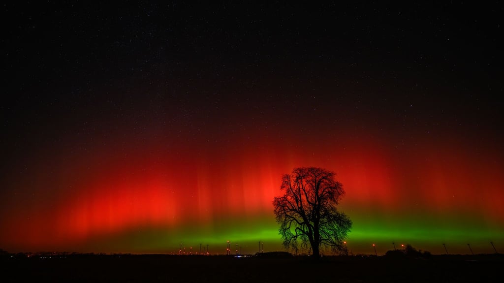 Polarlichter sind am Himmel über Brandenburg zu sehen.