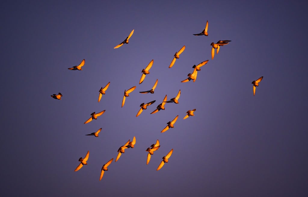 Die Sonne lädt zu Winterspaziergängen ein - dabei wird aber kalt. (Symbolbild)