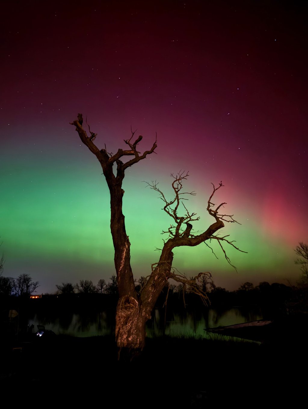 MZ-Leser Toni Siegert fing diese besondere Stimmung samt Baum ein.