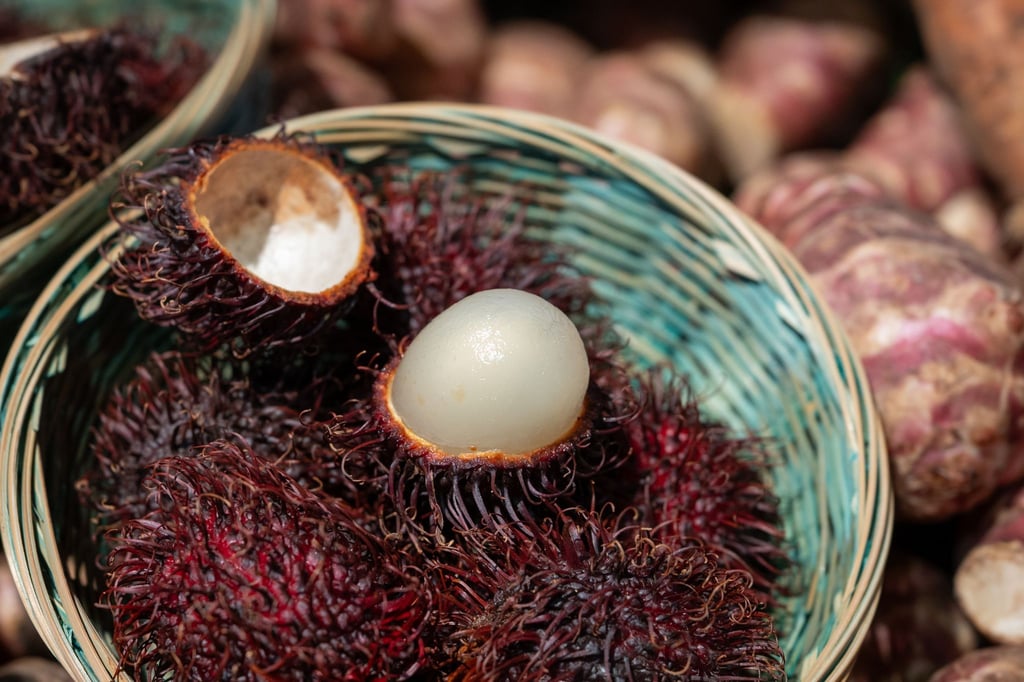 Rambutans bieten mehr Fruchtfleisch als Litschis: Das süß-saftige Innere umgibt einen kleineren Kern.