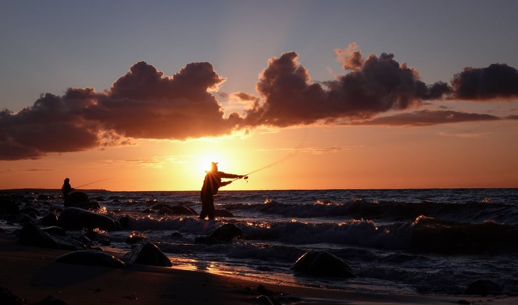Freizeitangler an Nord- und Ostsee müssen künftig bestimmt Fänge melden. (Symbolbild)
