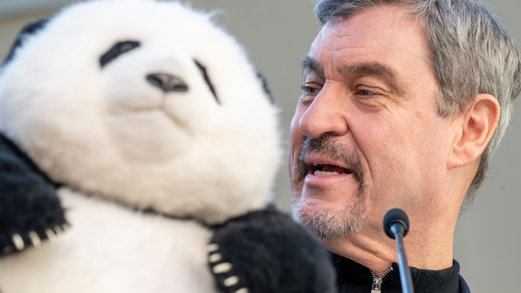 Noch hat Söder (r) nur einen Plüschbären in seinem Büro, doch spätestens 2028 soll es echte Tiere in München geben.