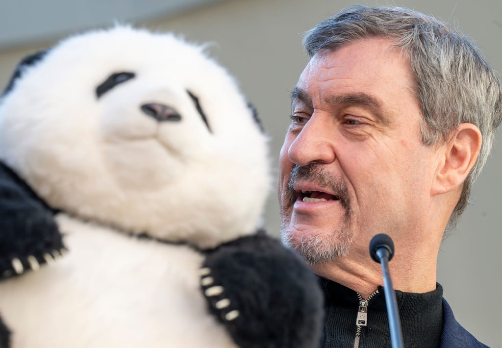 Noch hat Söder (r) nur einen Plüschbären in seinem Büro, doch spätestens 2028 soll es echte Tiere in München geben.