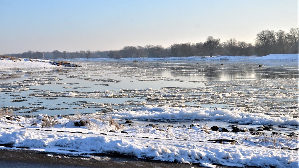 Das Eis auf der Elbe hat wieder zugenommen. Die ersten Fähren stellen den Betrieb ein.