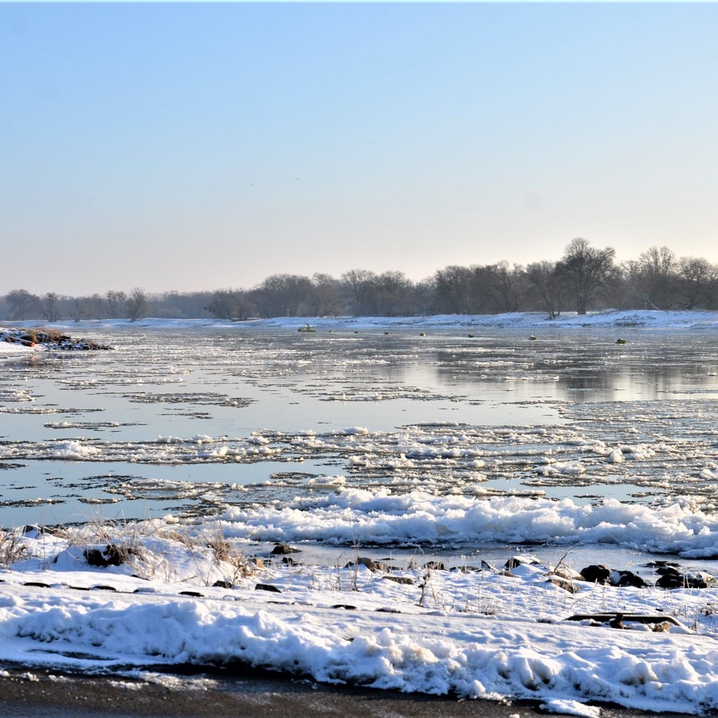 Das Eis auf der Elbe hat wieder zugenommen. Die ersten Fähren stellen den Betrieb ein.