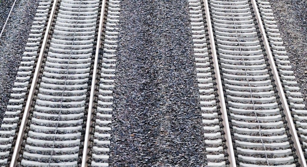 Mehrere Initiativen fordern einen Neubau der Bahnstrecke Hannover - Hamburg.